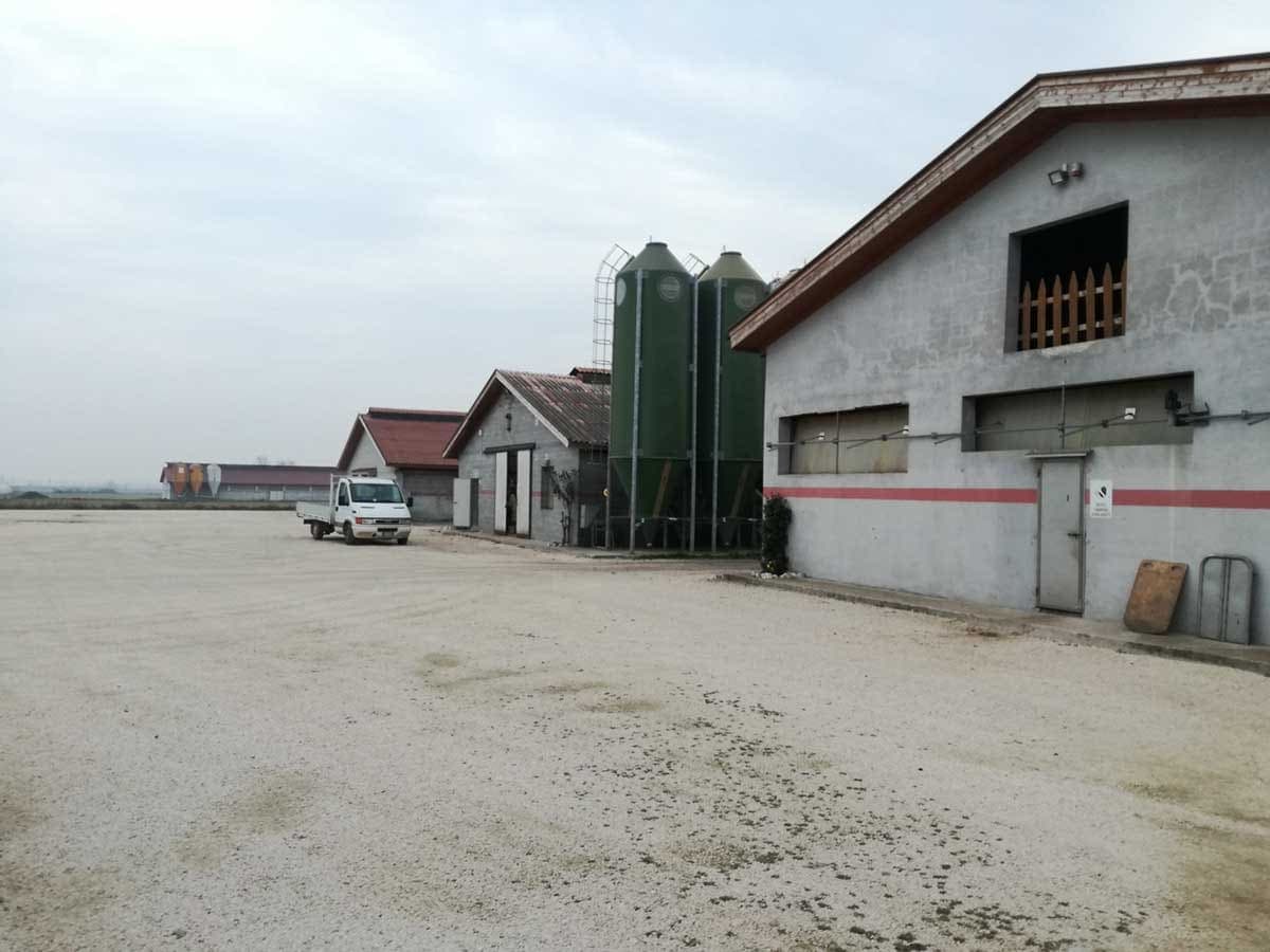 Pig fattening farms — Mantova, Italy (5)