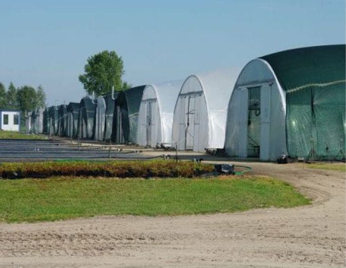 Püsikute ja kõrreliste taimla (3)