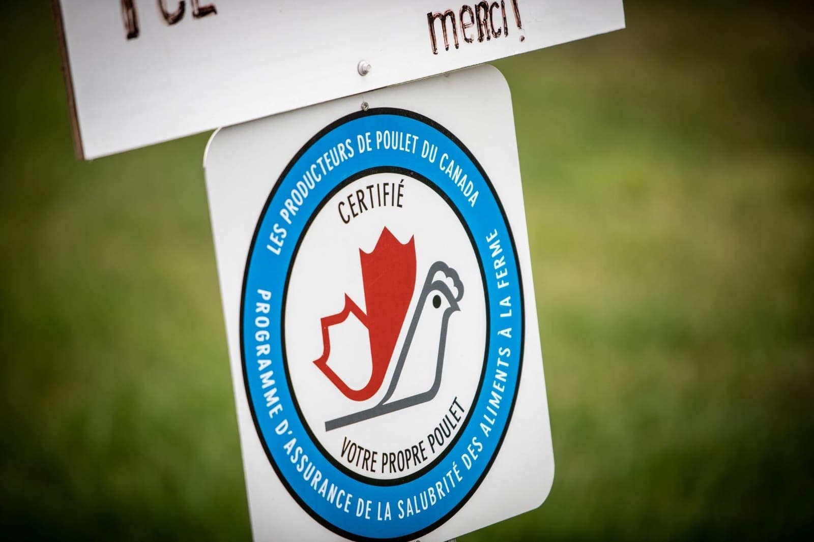 Allevamento avicolo — Québec, Canada (3)