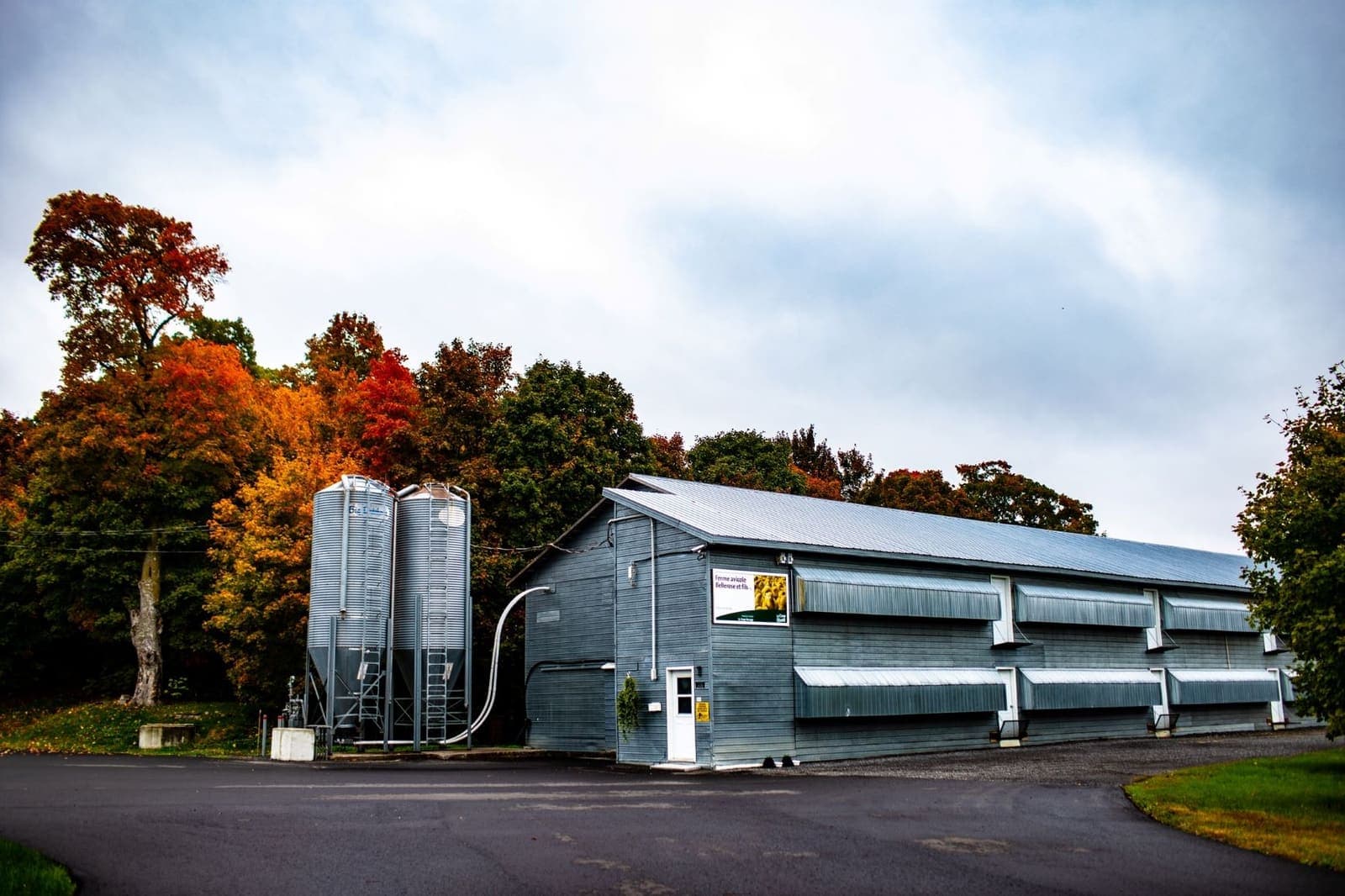 Allevamento avicolo — Québec, Canada (4)